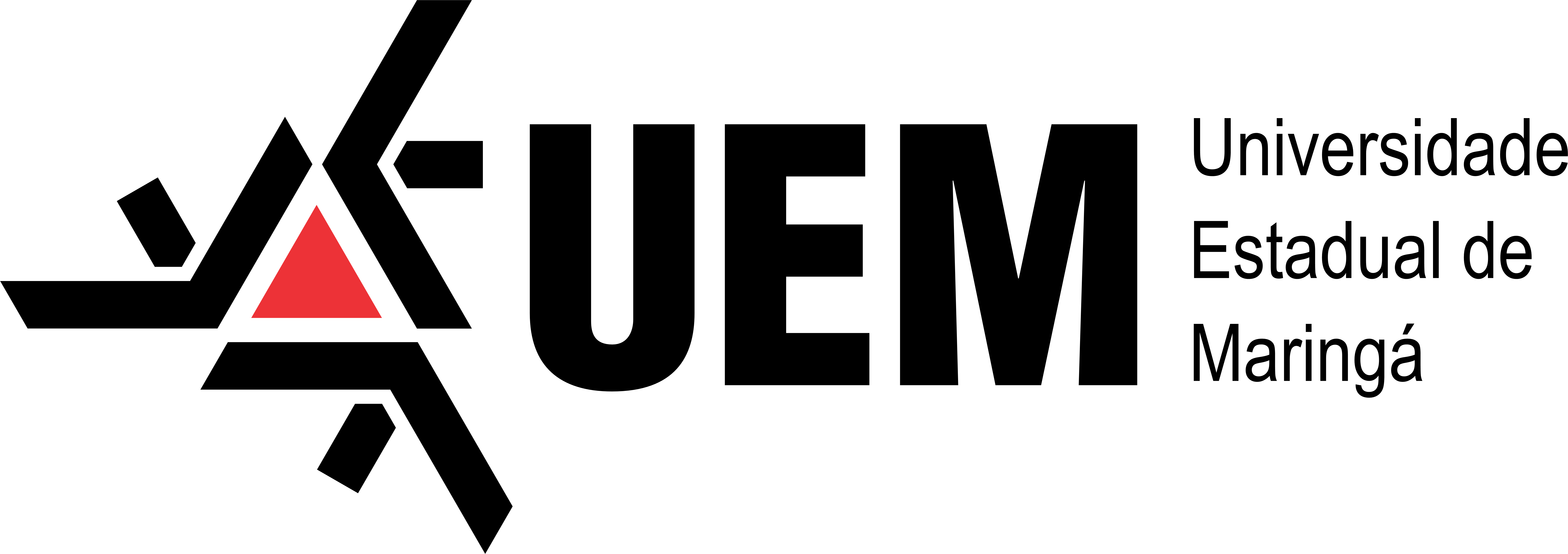 Organizador 1