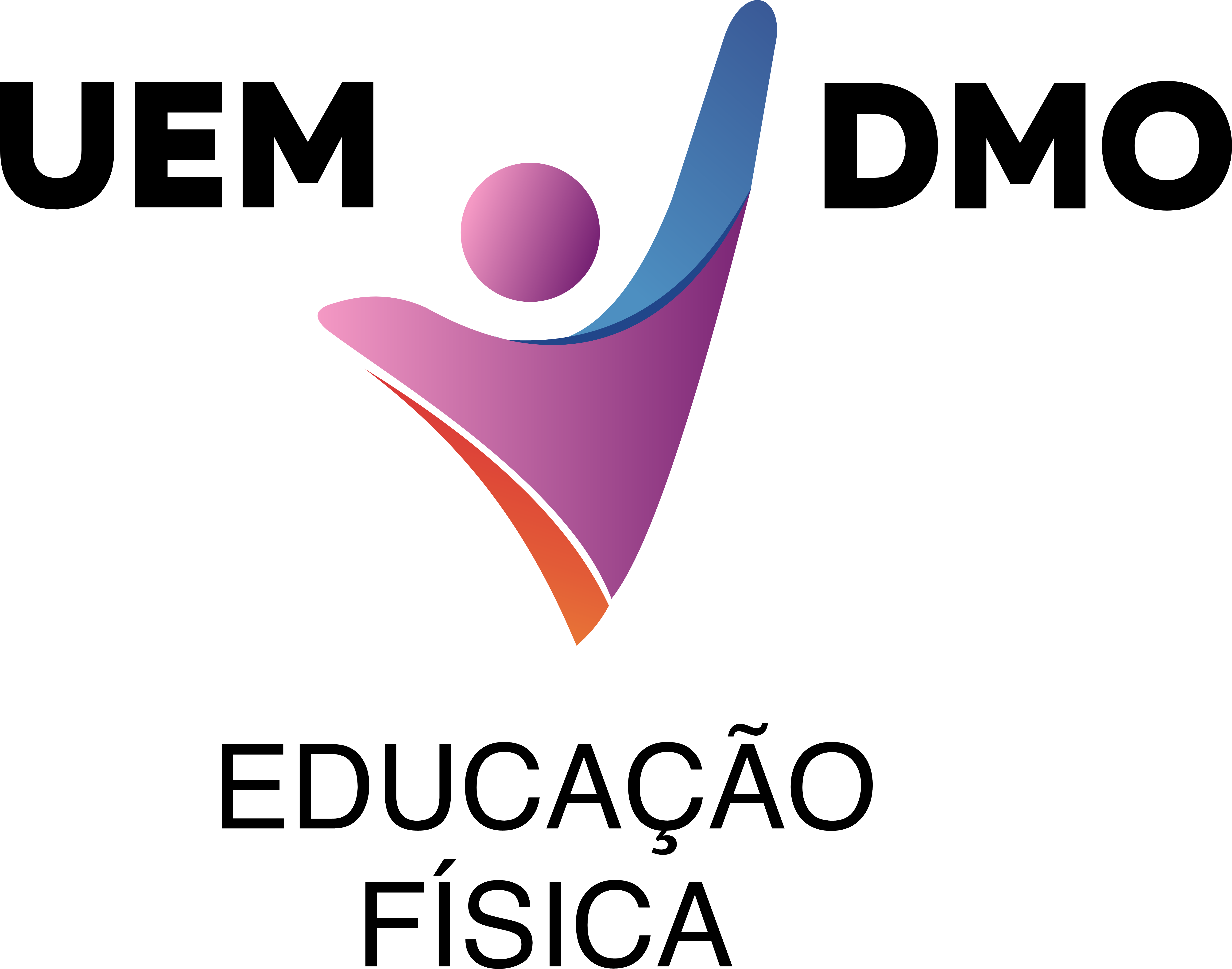 Organizador 2